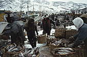 Fishermen,Hokkaido,Japan,c. 1960s