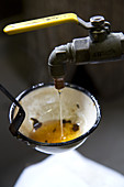 Maple Syrup Being Poured