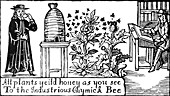 Apiculture,Beekeeping,18 Century