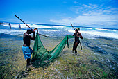 Hand Netting Shrimp