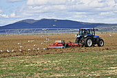 Farmer Cultivating a Field