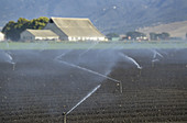 Crop Watering