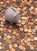 Piggy Bank Atop of Pennies