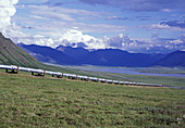 Alaskan Tundra with Pipeline