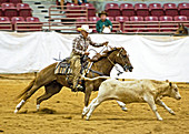 Cowboy Calf Roping and Herding