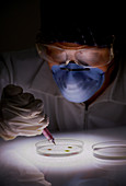 Scientist with Petri Dish