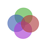 Venn Diagram of Intersecting Circles