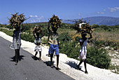 Carrying Firewood,Haiti