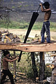 Lumber Yard,Tegucigalpa,Honduras