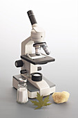 Student Adjustable Microscope