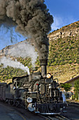 Narrow Gauge Steam Engine