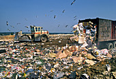 Bulldozer on Landfill