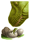 Dinosaur with Eggs,Illustration