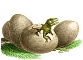 Dinosaur Egg Hatching,Illustration
