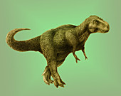 Tyrannosaurus Rex,Illustration