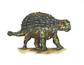 Ankylosaurus,Illustration