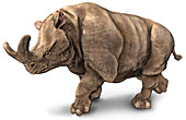 Brontotherium,Illustration