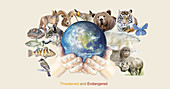 Endangered Species,Illustration