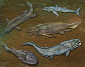 Prehistoric Fishes,Illustration