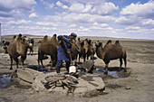 Water Hole in Grassland,China