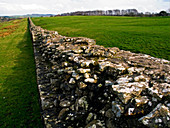 Hadrian's Wall,UK