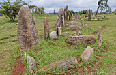 Tiya World Heritage Burial Site,Ethiopia