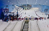 Indoor Ski Resort,UAE Dubai