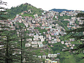 View of Part of Town,Shimla,India