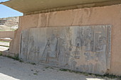 Relief Panel in Persepolis,Iran