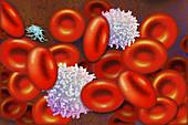 Red Blood Cells Collage,Illustration