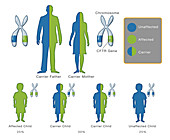 Cystic Fibrosis Mutation,Illustration