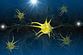 Optogenetics,Illustration