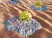 Colon Cancer Cells,Illustration