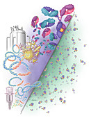 Small molecule Drugs,Illustration