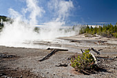 Geothermal Area,Yellowstone