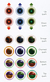 Table of Quarks,illustration