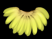 X-ray of Bananas