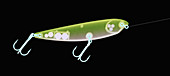 X-ray of Fishing Lure
