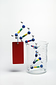 DNA Double Helix in Beaker with Tag