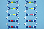 Substitution Mutation in DNA