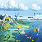 Carbon Cycle,illustration