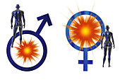 Female Male Pain Symbols,illustration