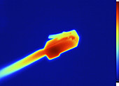 Thermogram of a Network Cable