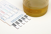 Urine drug screening