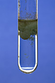 Iron (II) Hydroxide Precipitate