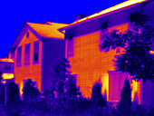 Thermogram of a House