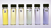 Bromothymol Blue as pH Indicator