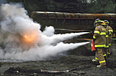 Firefighter Extinguishing a Fire