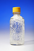 Frozen Water Bottle,2 of 2