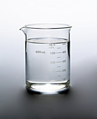 Water in a 600 Millilitre Beaker